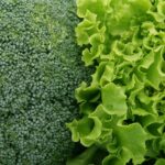 broccoli, lettuce, vegetables-1239430.jpg